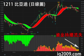 1211比亞迪