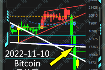 bitcoin 比特幣