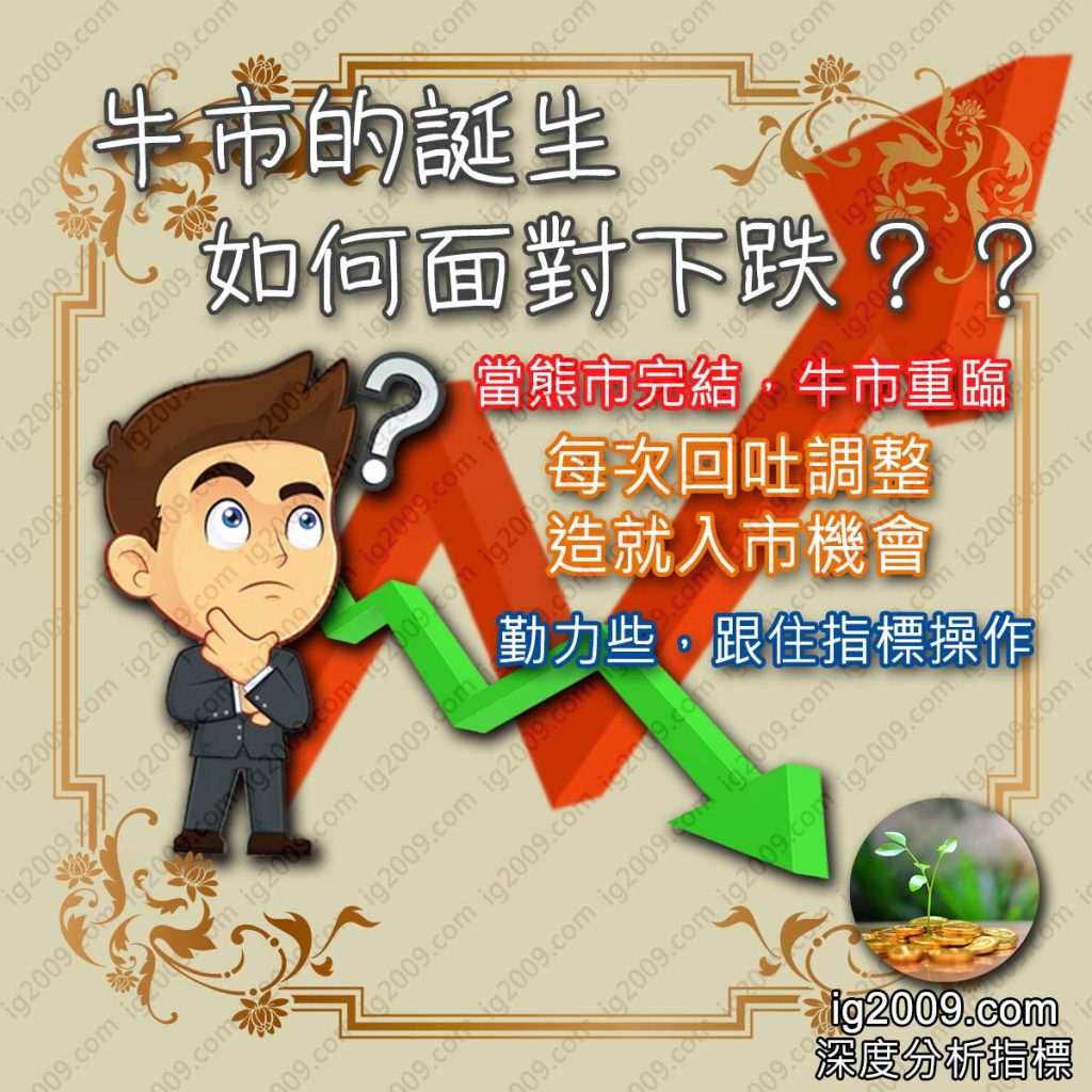 「牛市的誕生」如何面對下跌??