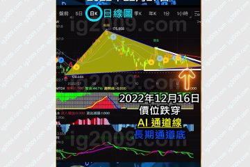 AAPL 蘋果公司