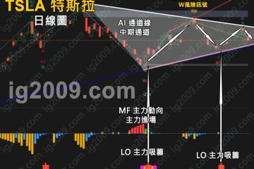 「TSLA 特斯拉」即將選擇方向？